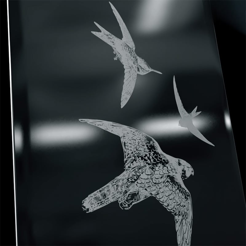 LSP-A_Vogel_web